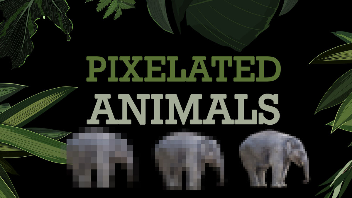 Pixelate Sidekick Bundle Volume 2 image number null